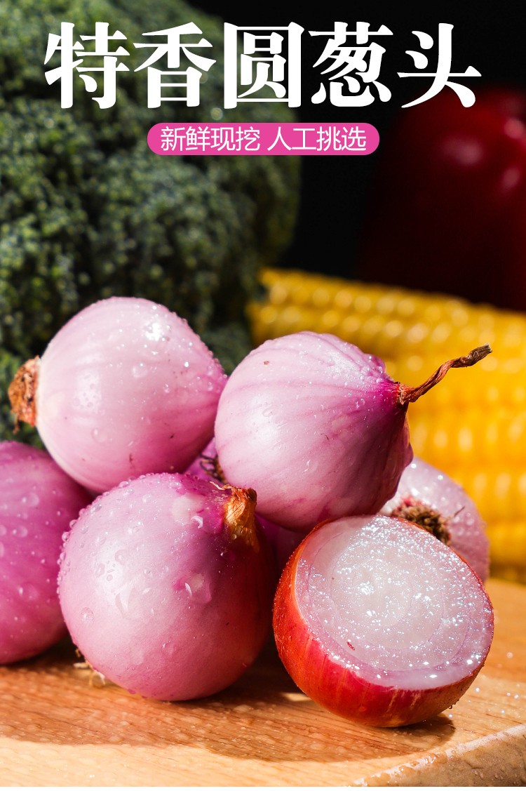 迷你圆葱小洋葱东北毛葱生吃干红葱头商用摆盘佐餐熬葱油卤肉调味精选