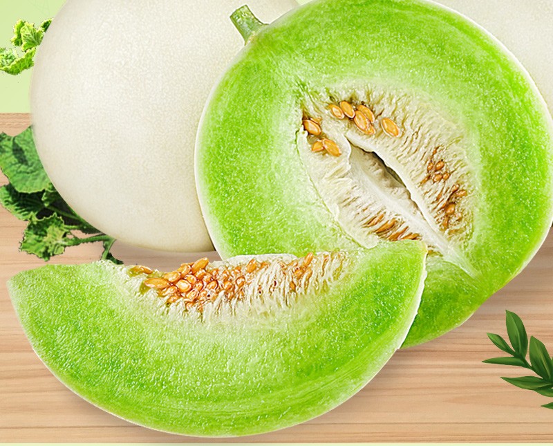 南汇冰激凌玉菇甜瓜 新鲜冰清玉菇蜜瓜甜瓜时令水果 精选玉菇甜瓜4颗