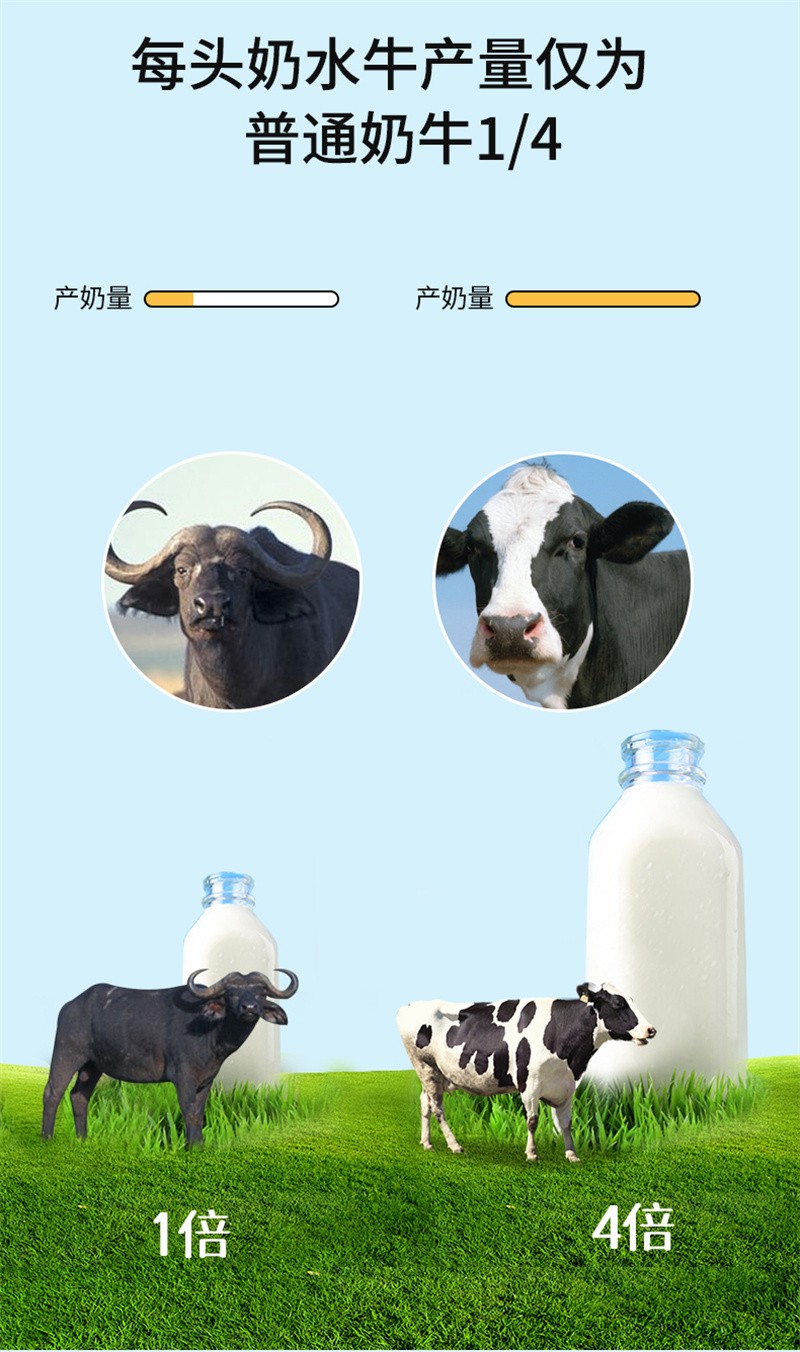 一只水牛纯牛奶水牛奶皇氏乳业儿童学生成人营养早餐代餐牛奶纯牛奶