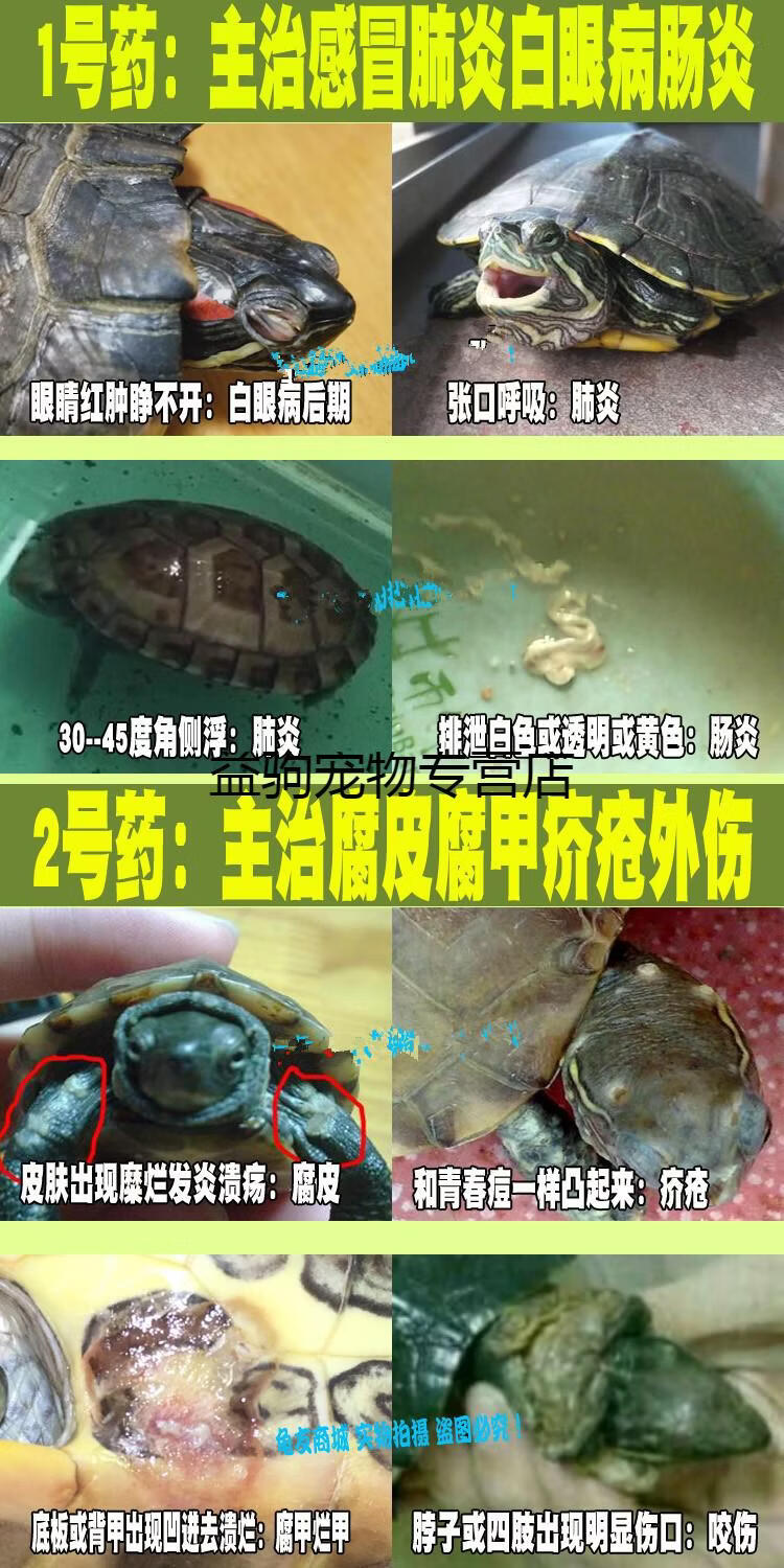 南石龟巴西草龟专治肺炎浮水白眼病肠炎 腐皮 2号药50g主治腐皮烂甲