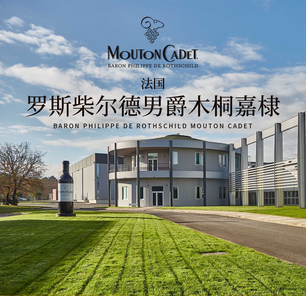 木桐嘉棣葡萄酒法国原瓶进口750ml单支装珍藏波尔多白葡萄酒2016