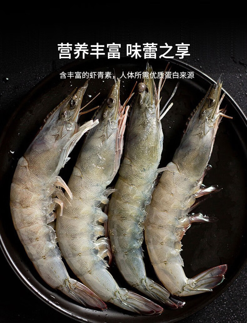 千船良品渤海湾海捕大虾盐冻虾只只分离1215cm333斤装333斤