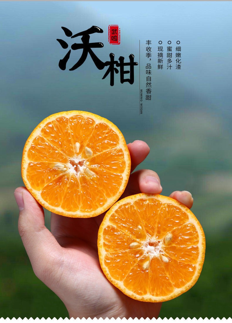 正宗广西武鸣沃柑10斤纯甜新鲜当季桔子孕妇小孩水果整箱带箱910斤特