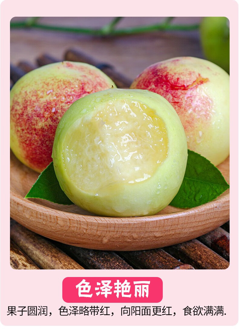 味来戈壁 甘肃敦煌特产李广桃新鲜青皮桃子紫胭桃5斤礼盒装现摘现发