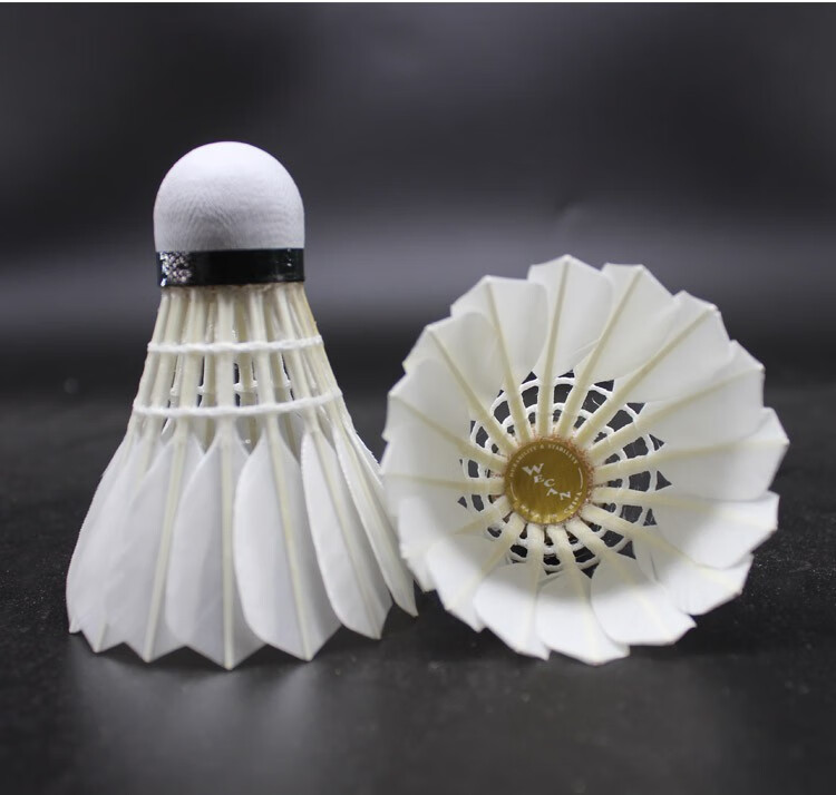 威肯wecan金威肯羽毛球专业比赛用球俱乐部业余训练精选鸭毛球耐打王