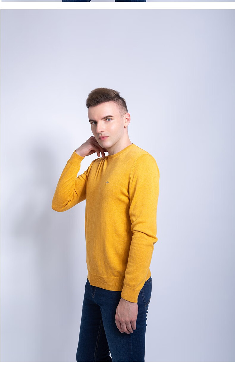 fynchhatton德国树男士毛衣加厚纯色圆领纯棉针织衫宝蓝xxxl195108a