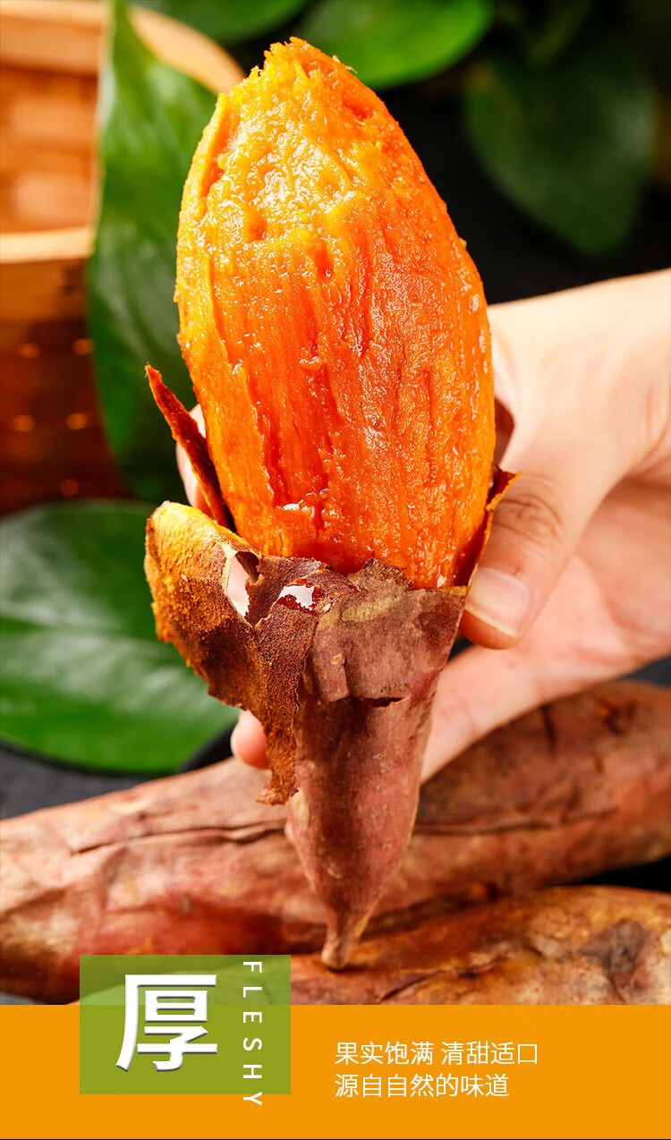 寻味君山东烟薯25号糖心蜜红薯地瓜番薯流油新鲜蔬菜生鲜5斤精选中果