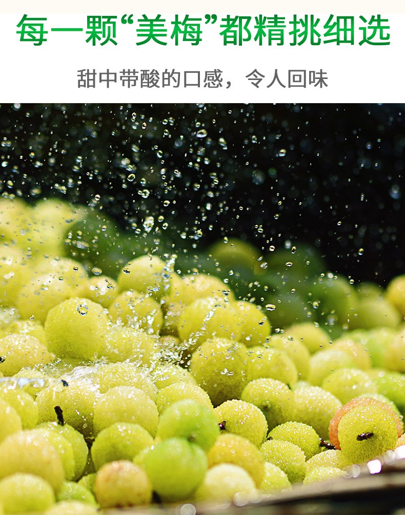 海天冰梅酱260g家用厨房烤鸭叉烧酱蘸料酸梅酱调味酱梅子酱海天冰梅酱