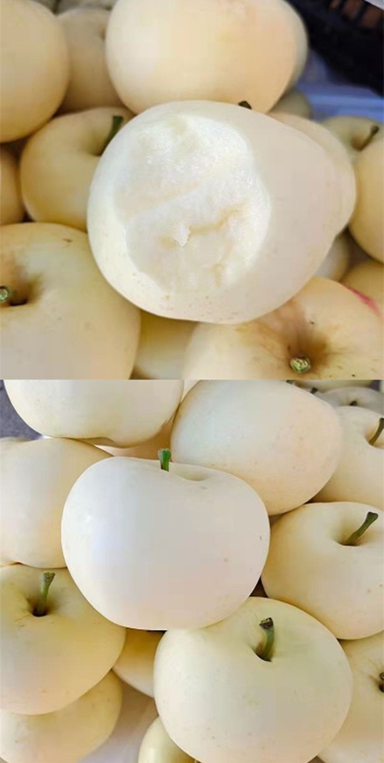 净重5斤【大果8-12个】 奶油白苹果【稍偏黄】【图片 价格 品牌 报价