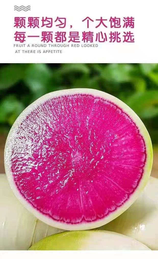 新鲜生吃清脆心灵美萝卜蔬菜装绿皮红心当季蔬菜5斤