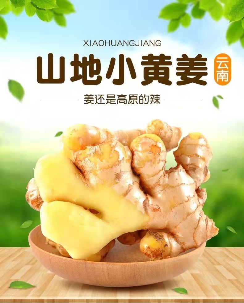 云南高山小黄姜新鲜农家自种姜现挖生姜新姜小黄姜1斤装