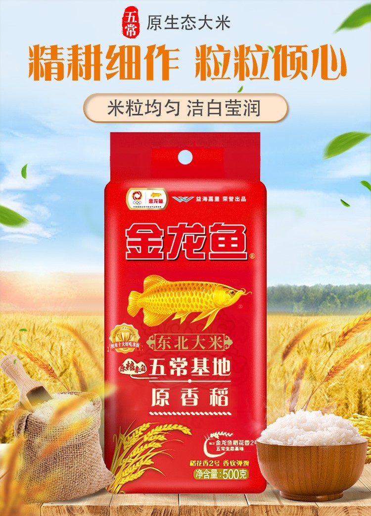 金龙鱼东北大米五常基地原香稻粳米原粮东北大米员工福利年货常备25kg