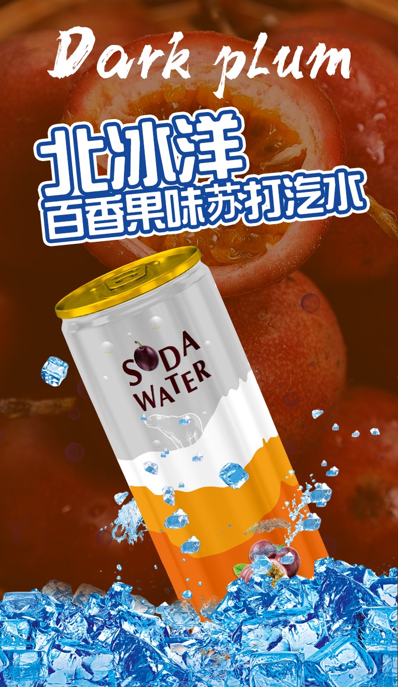 北冰洋 百香果苏打水330ml*12听饮料 新老包装交替发货【图片 价格