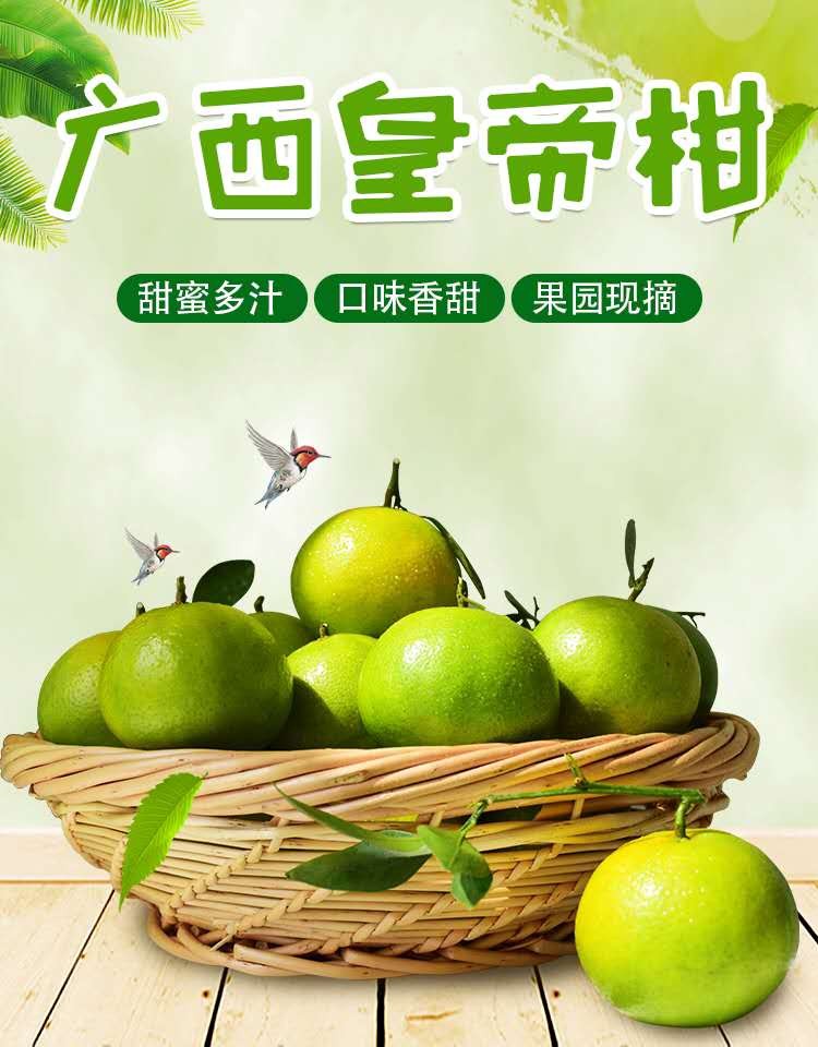 广西皇帝柑新鲜水果贡柑黄帝柑柑橘贡桔子45斤中果单果5560mm