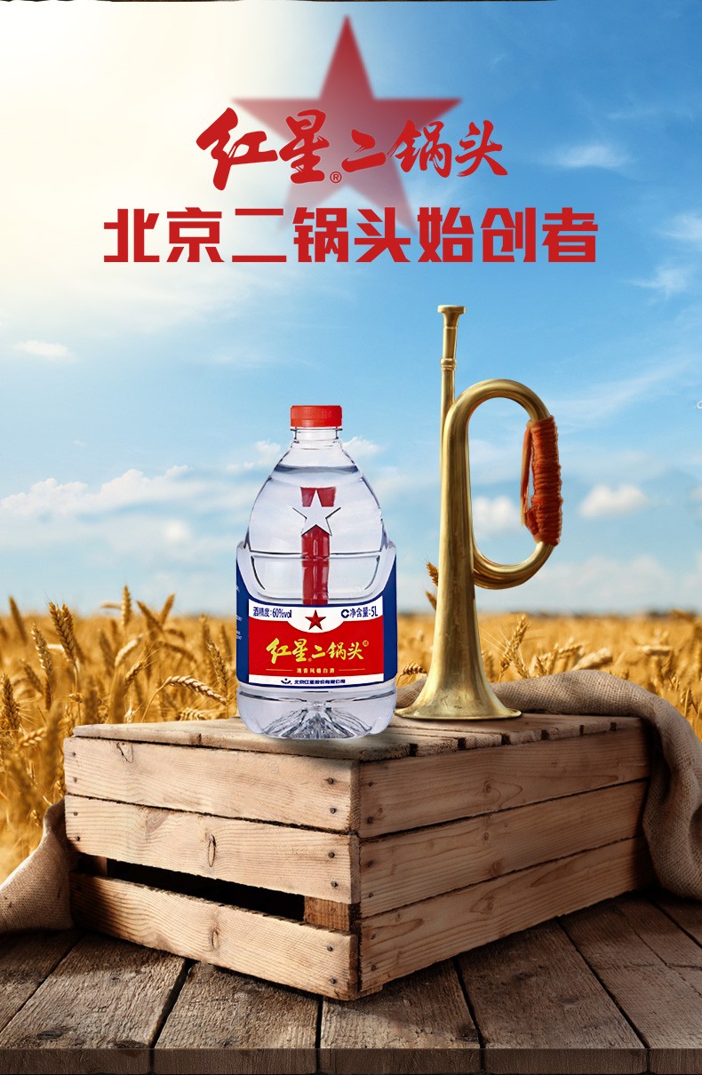 北京红星二锅头60度5l*4大容量桶装高度白酒 泡酒【图片 价格 品牌