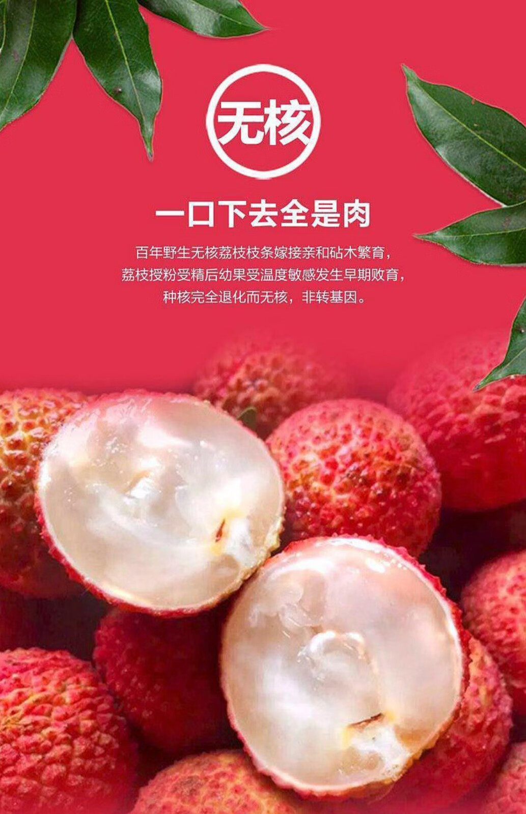 澄迈陆侨无核荔枝无核无渣新鲜应季孕妇水果 2斤【图片 价格 品牌