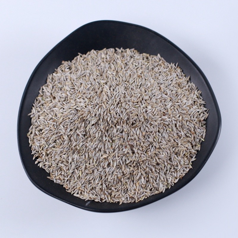 百日山白苣胜生菜子中药材500g生菜籽莴苣子莴苣籽白苣子籽白巨胜500g