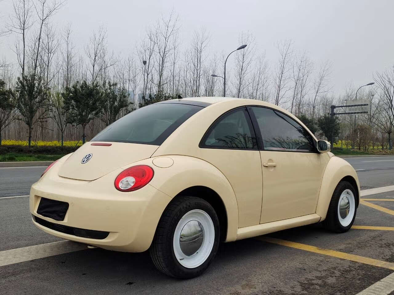 大众  甲壳虫 (进口)   1.