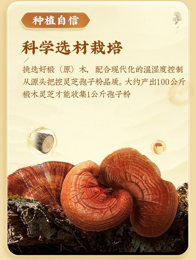 9f9e789cc06678fd.jpg