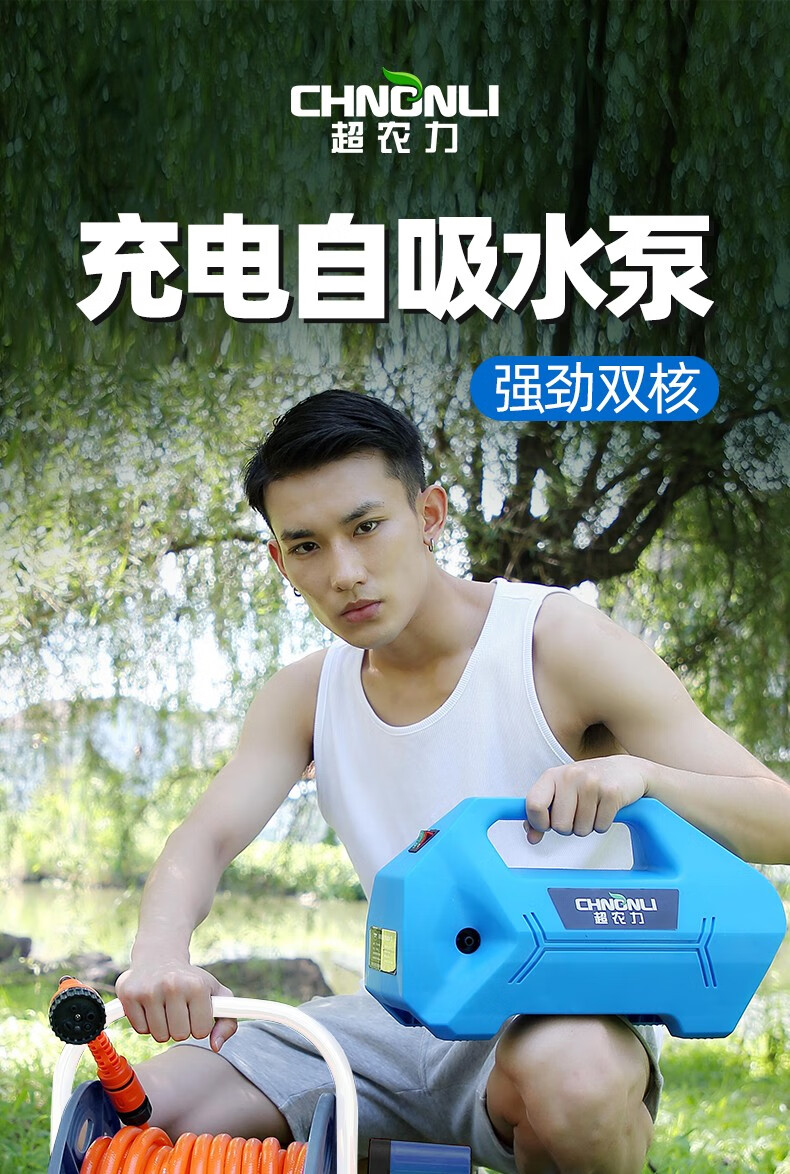 泵便携式农用打药浇菜户外抽水机家用12v小型抽水泵清洗机洗车抽水泵