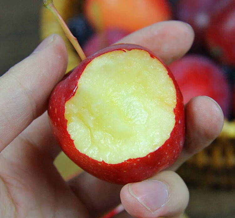 新疆特产香妃海棠果 伊犁鸡心海棠果鲜果小红苹果酸甜孕妇水果礼盒