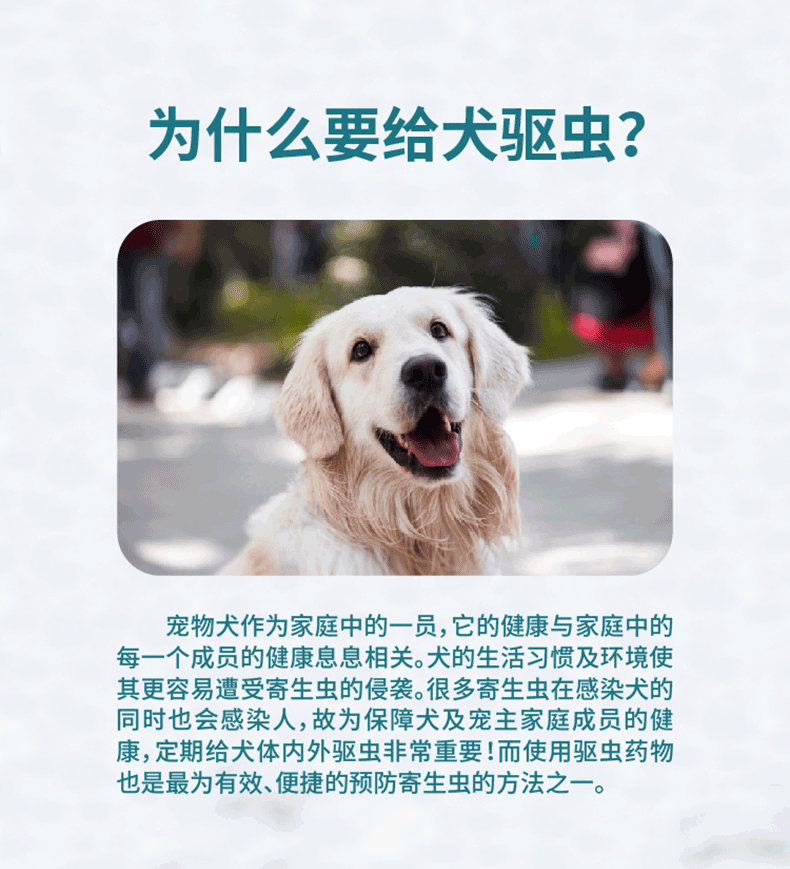 海正动保海乐旺狗狗驱虫药体内外一体宠物驱虫大中小型犬用打虫药体内