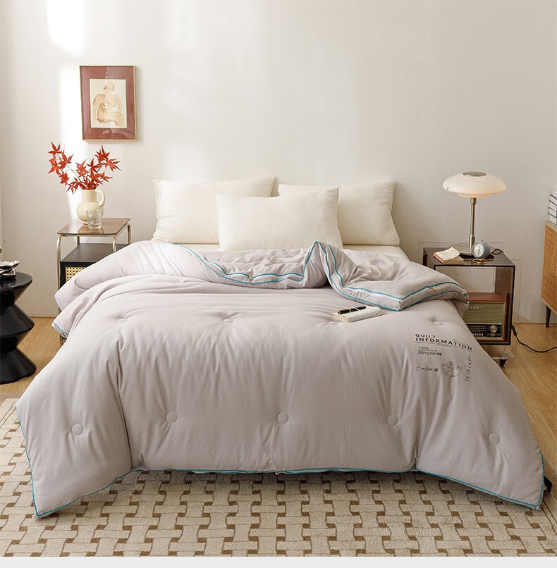 南极人(nanjiren) 被子二合一子母被芯拉链款春秋被单双人棉被秋冬天