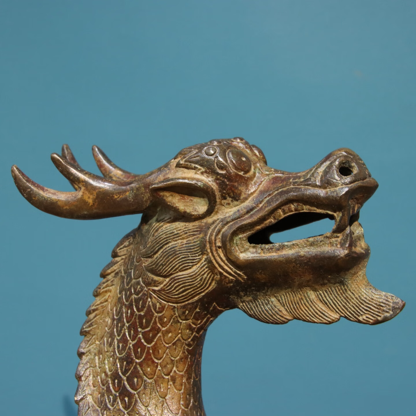 龙头马编号为ysp9