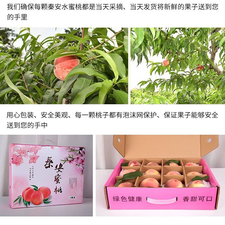 甘肃秦安水蜜桃北京七号礼盒桃子新鲜水果桃顺丰空运 9颗装【净重4.