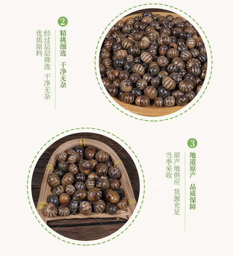 北京同仁堂 滚山虫中药材店铺滚山珠500克正宗地罗汉干货 滚山珠虫 滚