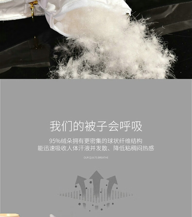 dffb7cfa7043c953.jpg