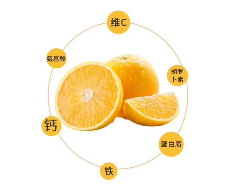 橙皇金秋橙 当季新鲜橙子 10斤家庭装【图片 价格 品牌 报价】-京东
