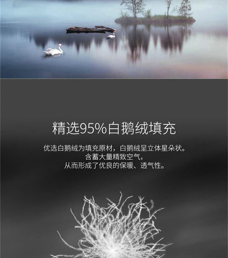 509ffe6a52b6c9ab.jpg