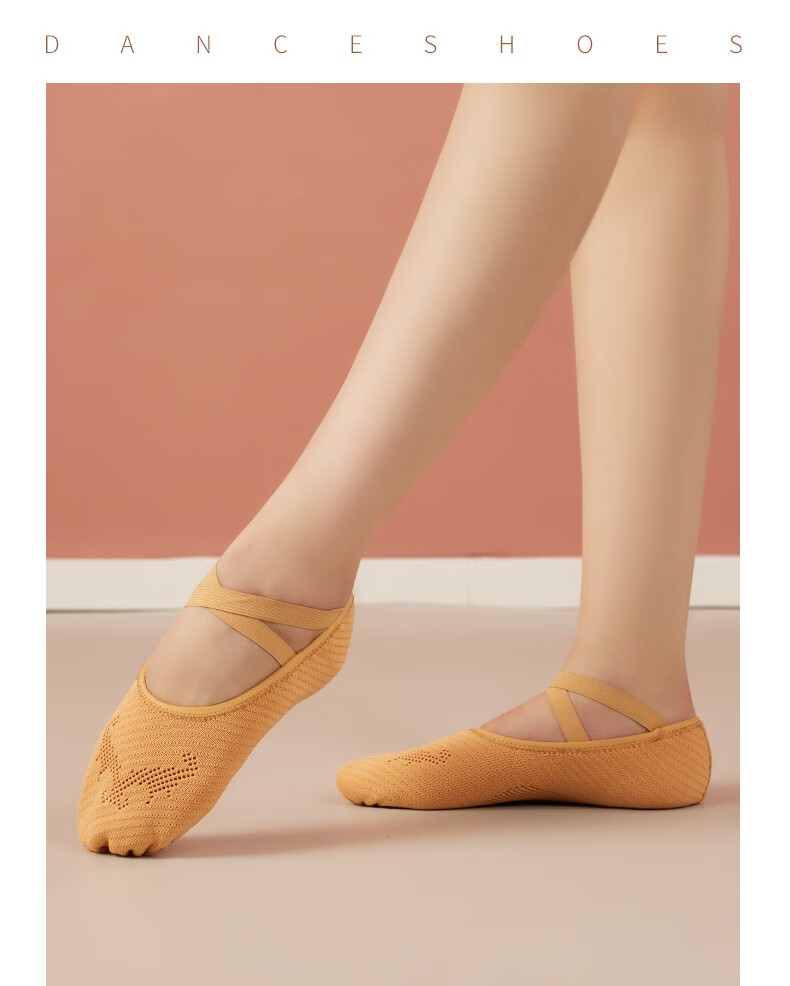 舞蹈鞋成人免系带软底飞织猫爪鞋女专业芭蕾舞形体鞋中国舞鞋肉色35