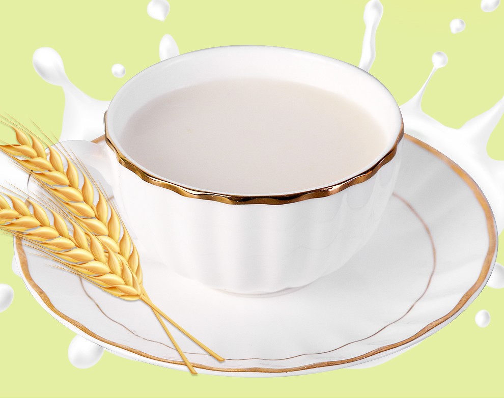 侎伽原味米浆营养早餐米浆粉谷物食品饮料冲调米粉米糊饱腹代餐流食