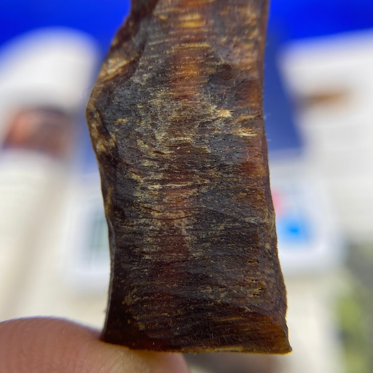 沉水白奇楠沉香 海南沉水白棋楠原材料老料 全熟透棋楠吊坠碎料 20克