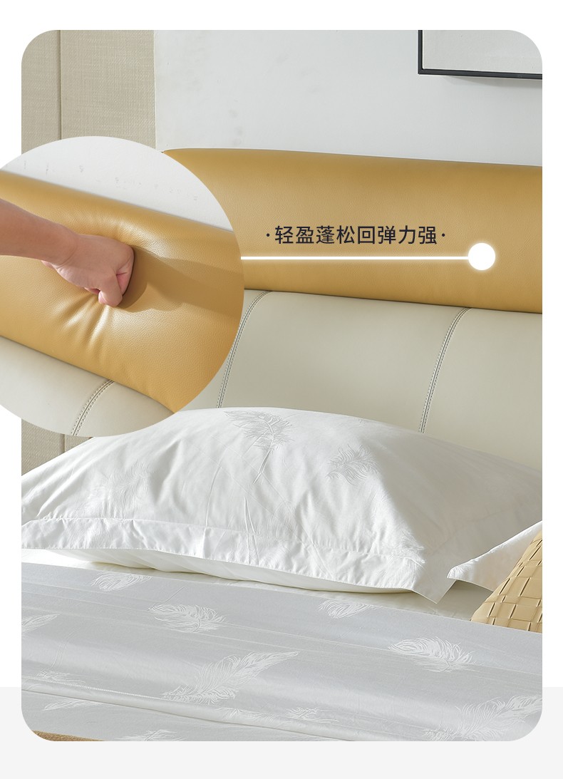 斯可馨 科技布床轻奢双人床1.8米现代简约1.