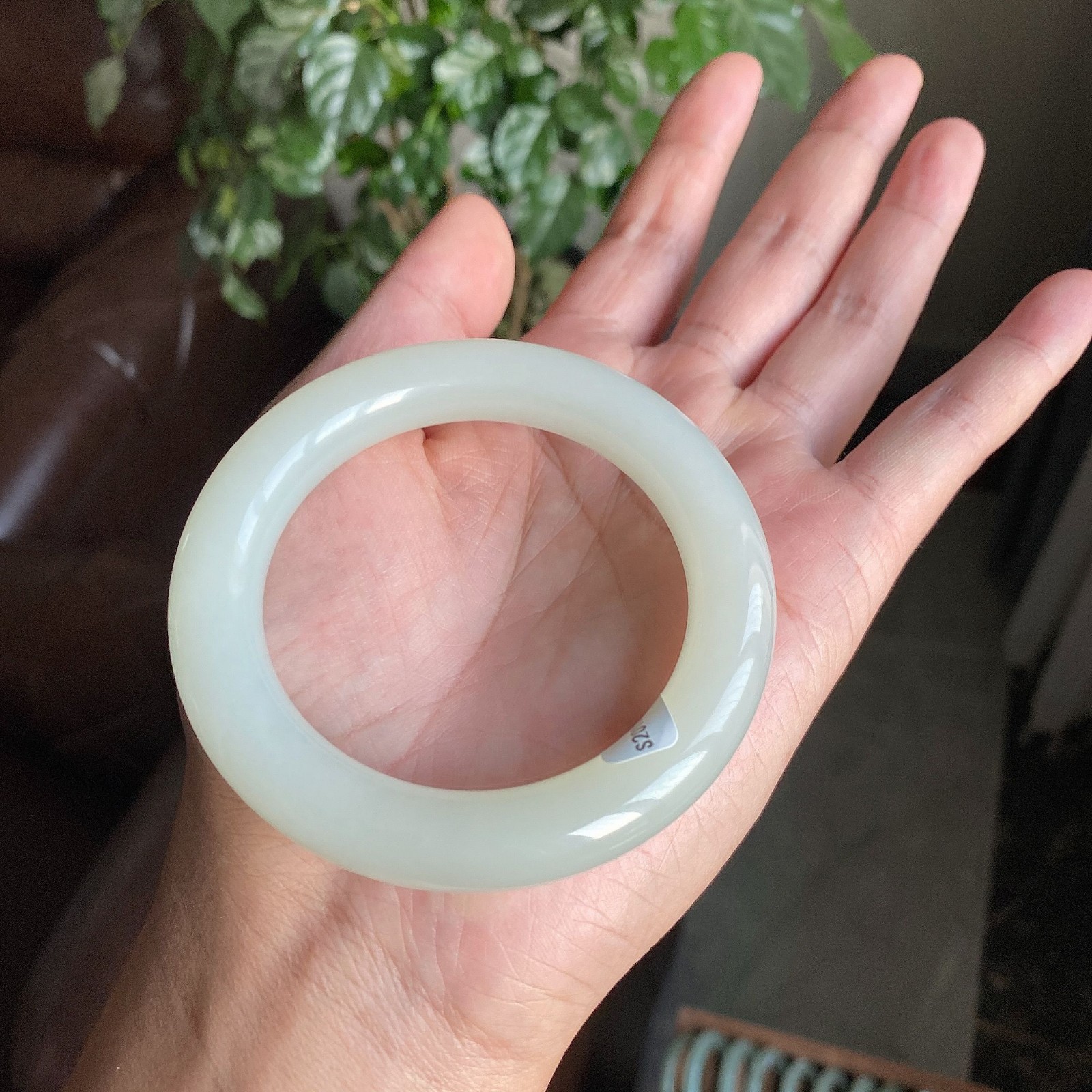 玉悦东海和田玉手镯青海野牛沟料青白玉胖细圆条宽版羊脂白玉翠青镯子