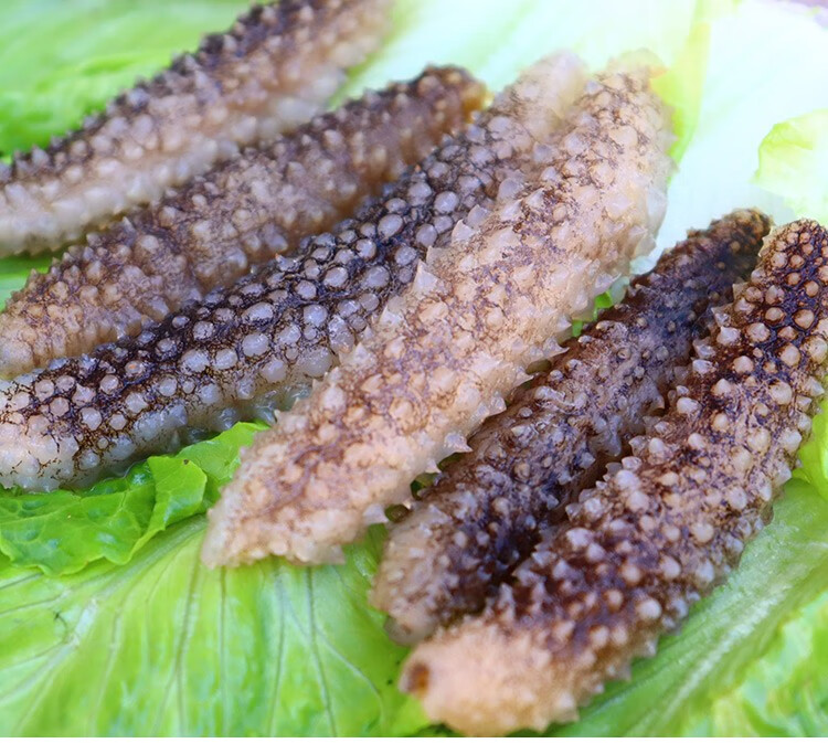 瑜真福淡干黑刺海参小刺参干货高泡发速发礼盒装非即食海参淡干刺参45