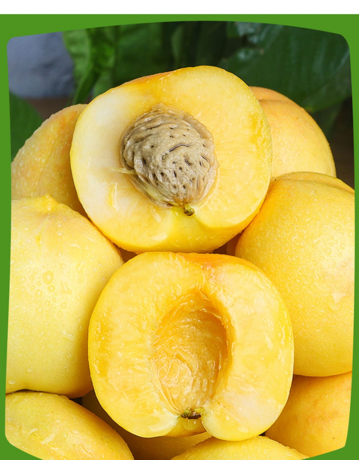 黄金桃新鲜水果黄心肉当季整箱脆甜多汁现摘现发 精选大果一斤装