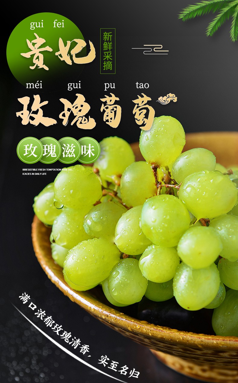 贵妃玫瑰阳光葡萄鲜现摘香印青提纯甜新鲜水果顺丰快递 贵妃玫瑰葡萄3