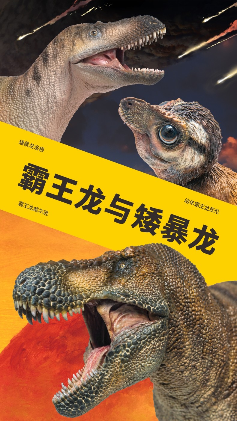 新年礼物pnso矮暴龙洛根恐龙大王成长陪伴模型49