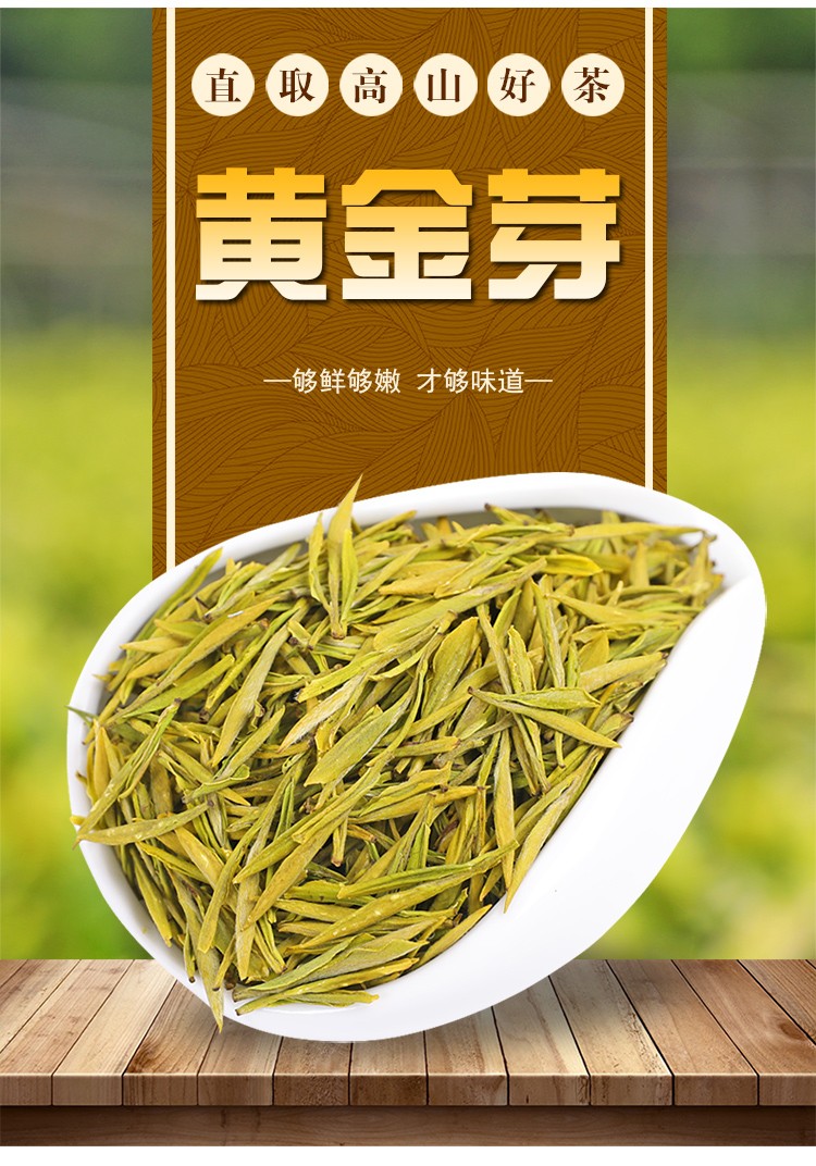2021年新茶黄金芽125克豆香特级明前白茶高山珍惜绿茶罐装惠维茶业