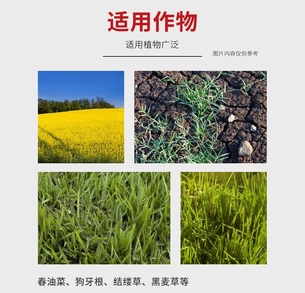 油菜田狗牙根早熟禾草坪除蒲公英除灭刺儿菜菊科阔叶杂草除草剂 20克