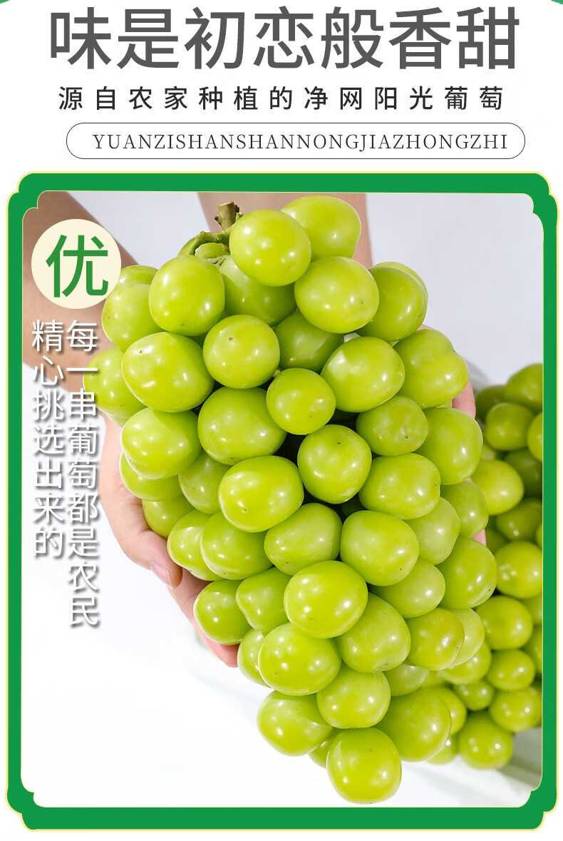 精选阳光玫瑰晴王葡萄香印青提子 新鲜水果礼盒中秋送礼 3斤精美礼盒