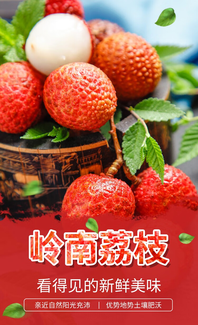 广东岭南特产手信茂名高州果园新鲜现摘5斤荔枝时令水果核小肉多彩箱
