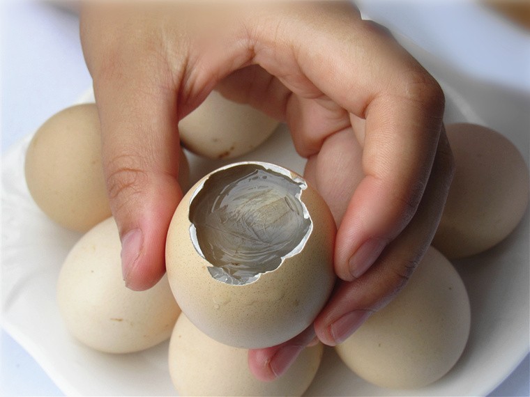 【jd物流】小憨哇苏北农家草鸡蛋活珠子 新鲜13天鸡胚 正宗土鸡胚蛋旺