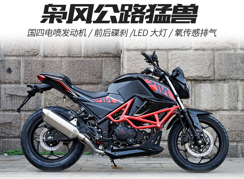 全新枭风9号摩托车跑车可上牌街车重型机车国四电喷200cc 街跑车 白色