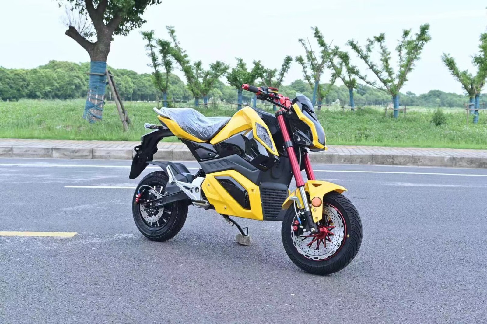 小猴子z6电摩m5小怪兽电瓶车中置电动车改装款成人酷车全部碟刹 红色