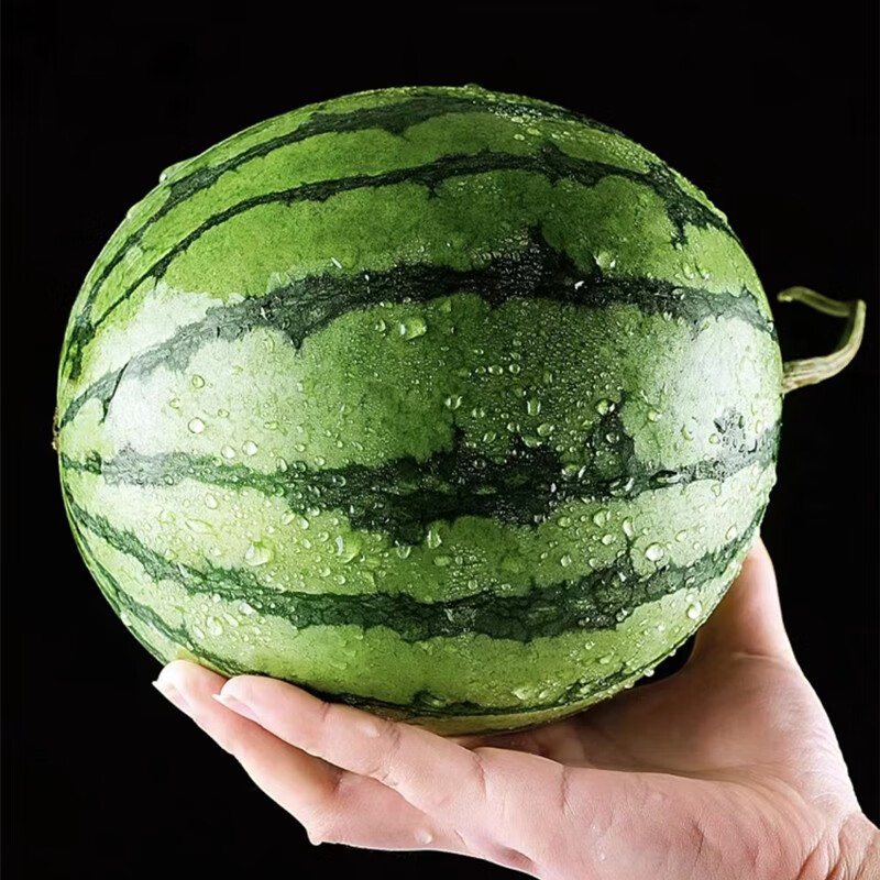西瓜3-9斤装当应季新鲜水果现摘甜水果沙瓤薄皮瓜全美2k西瓜 7斤装(2